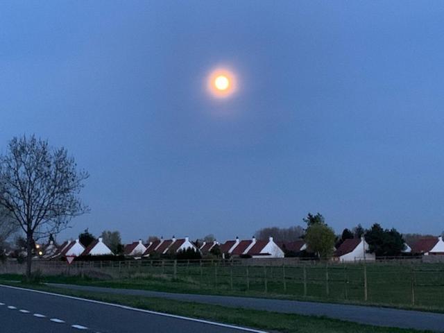 Duinendaele 232 Met Sauna Bij Plopsaland En Natuurreservaat Villa De Panne Luaran gambar