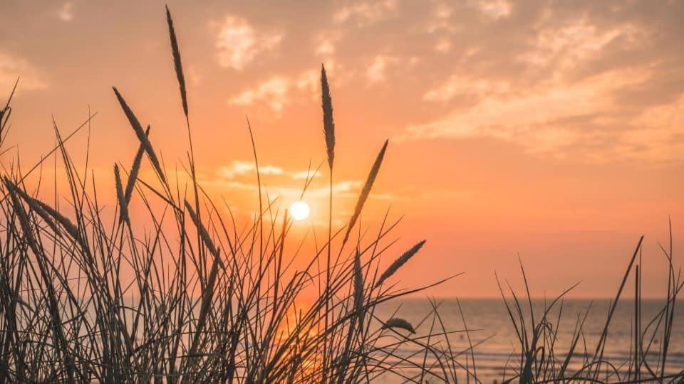 Duinendaele 232 Met Sauna Bij Plopsaland En Natuurreservaat Villa De Panne Luaran gambar